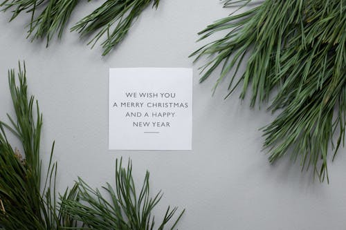 Free White card with holiday inscription Stock Photo