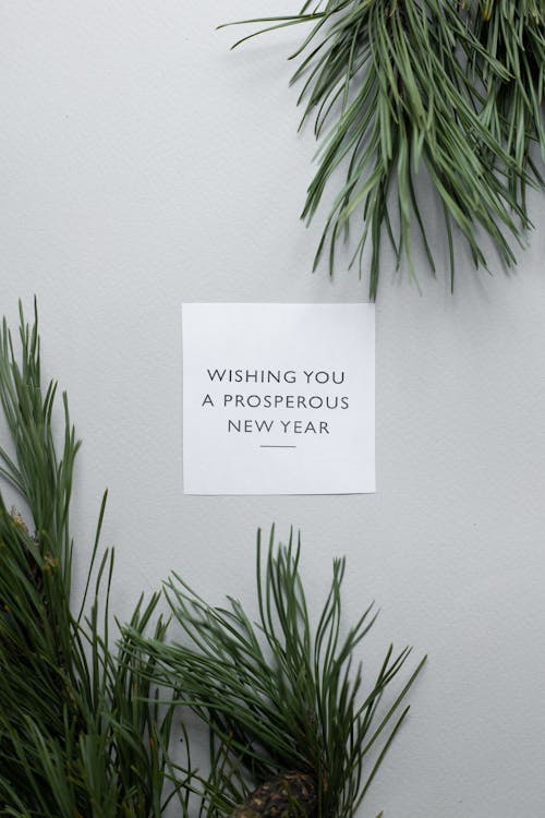 Top view of Wishing You A Prosperous New Year inscription on white paper placed on surface near green coniferous branches