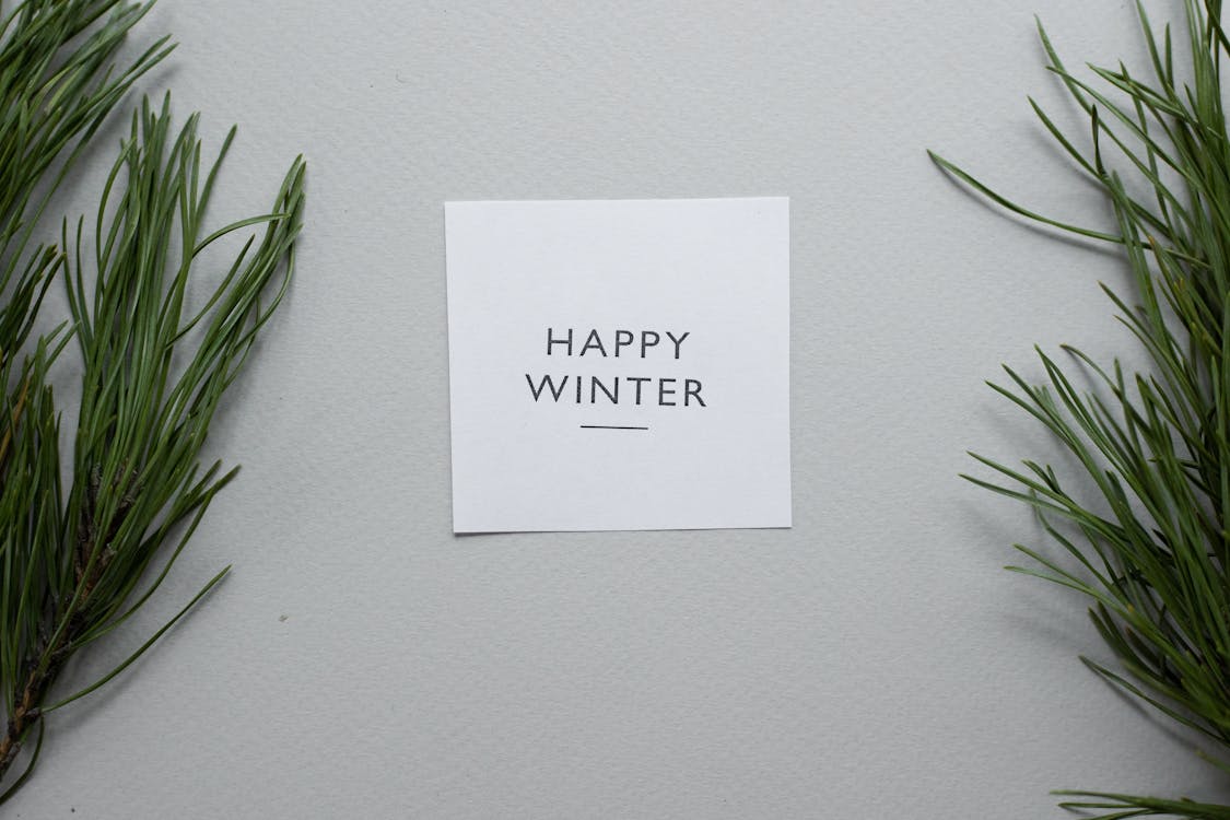 Top view of Happy Winter inscription written on white card placed on gray background with green coniferous twigs in studio