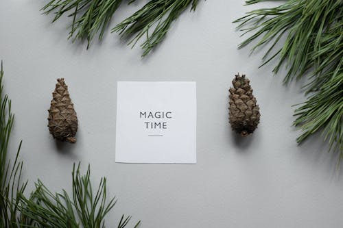 Composition of pine cones with greeting card