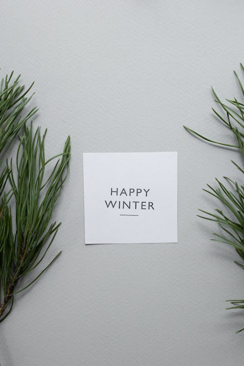 Top view of Happy Winter inscription written on white paper sheet placed on gray background with spruce twigs on gray background