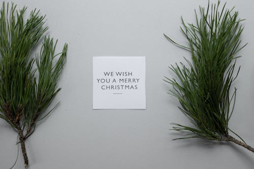 Top view composition of We Wish You A Merry Christmas inscription on white paper sheet on table with spruce twigs on gray background