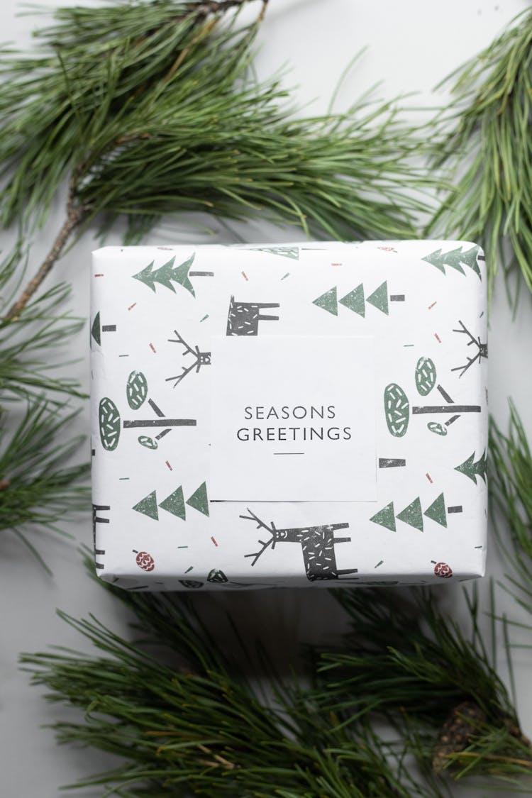 Present Box Wrapped In Paper With Christmas Symbols Among Coniferous Twigs