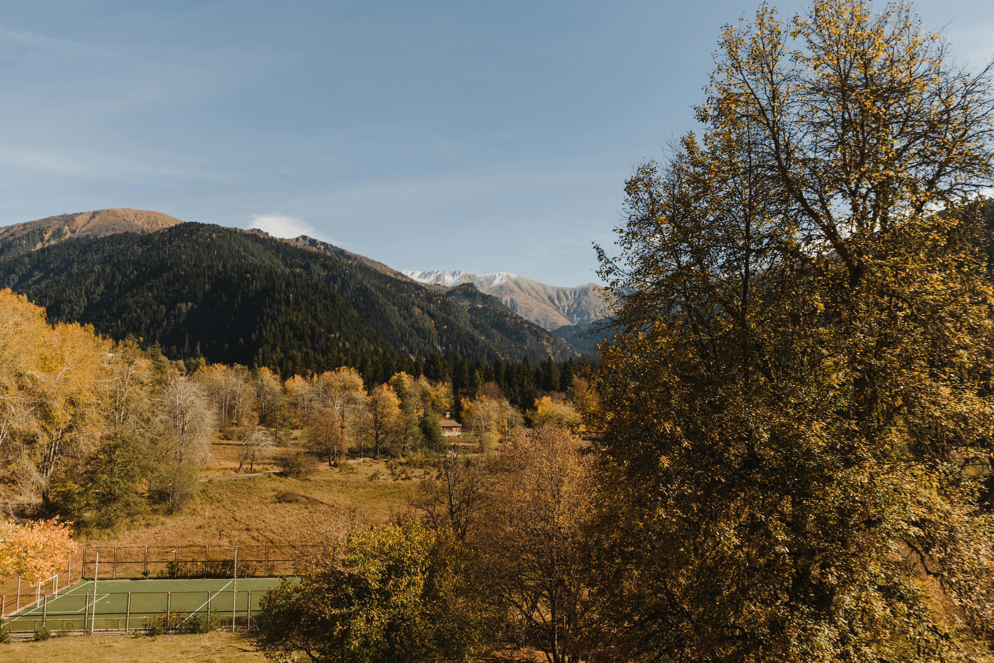 https://www.pexels.com/photo/view-on-autumn-trees-and-mountains-5709185/