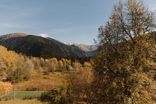 Image by Arina Krasnikova