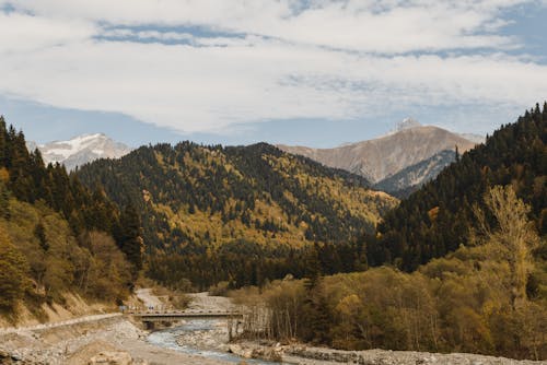 Foto d'estoc gratuïta de bosc, corrent, fotografia de paisatge