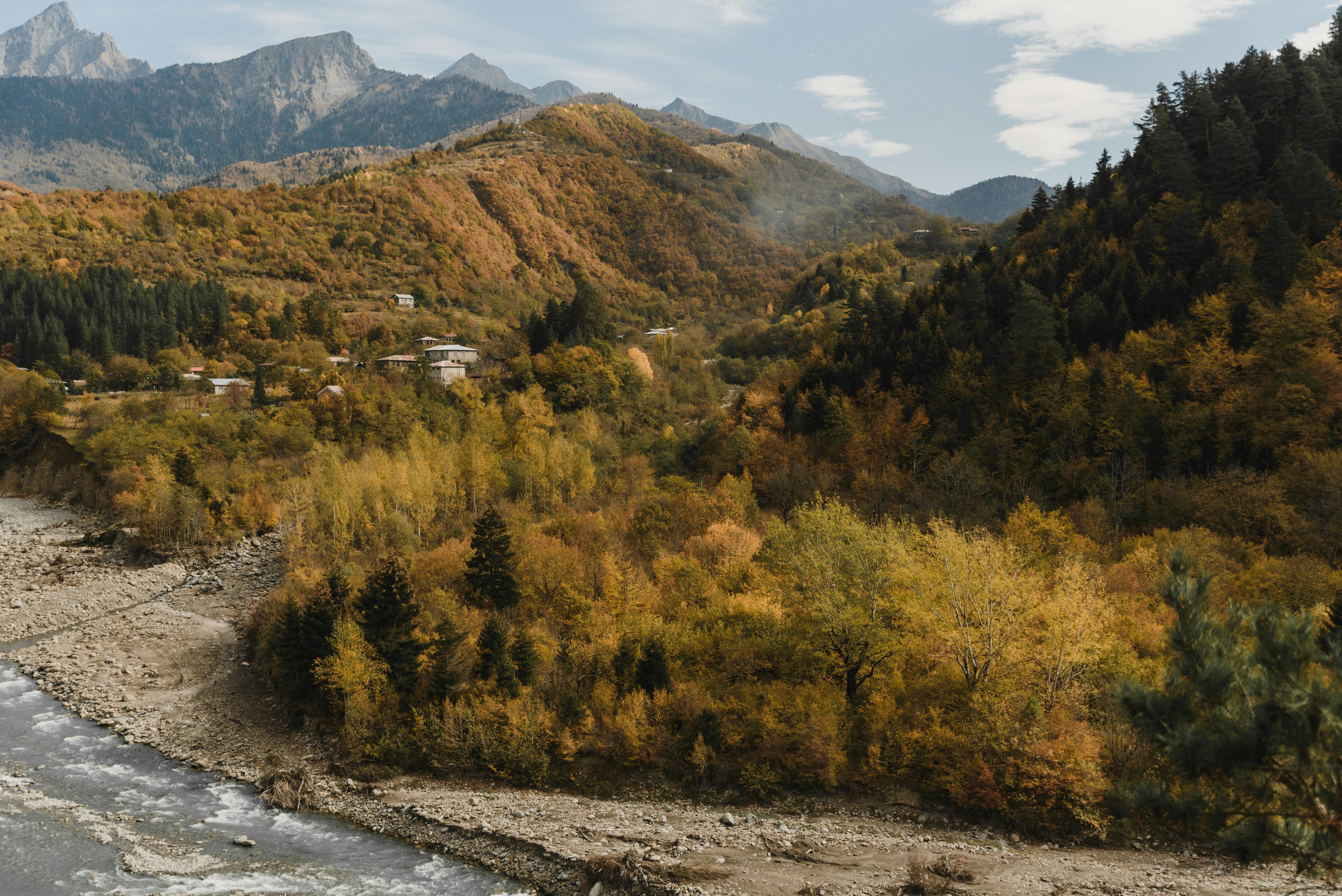 山坡上，秋天的树叶与蜿蜒的河流构成壮丽景色
