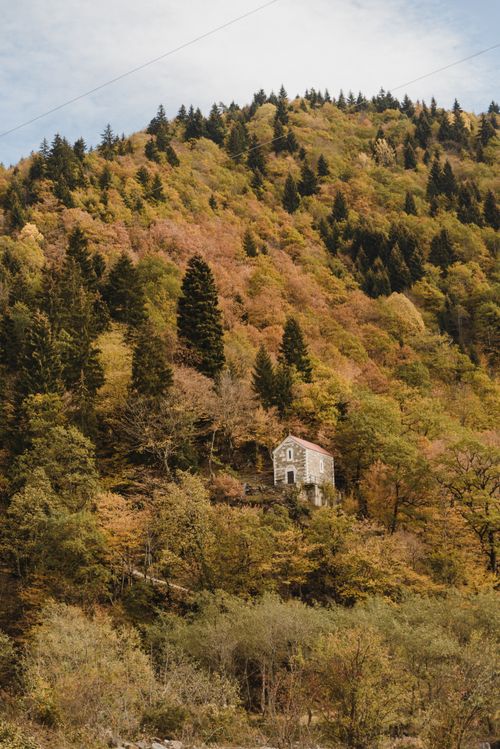 Free Rustic house nestled on a vibrant autumn hillside forest, showcasing nature's beauty. Stock Photo