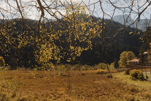 Image by Arina Krasnikova