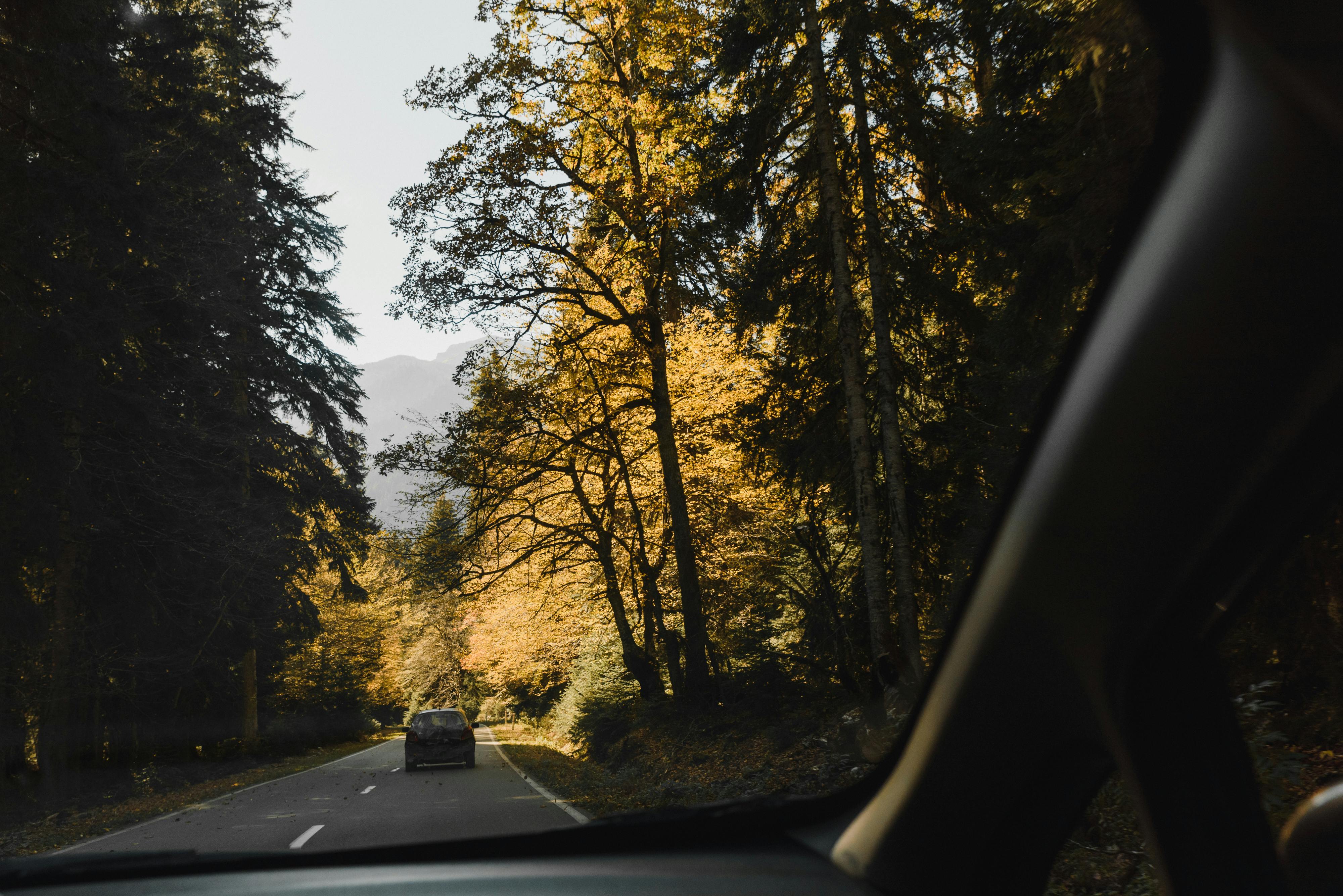 驾车穿过风景秀丽的森林，从车窗看到秋天的颜色