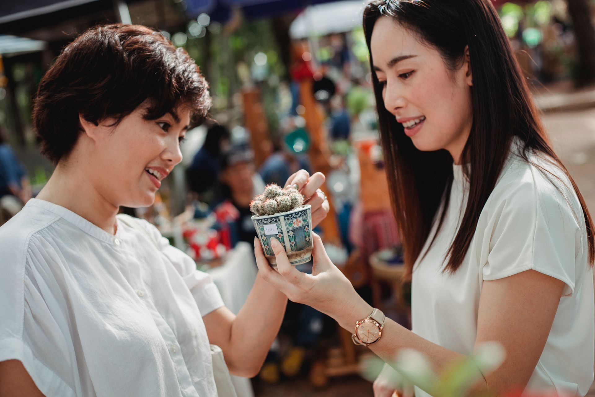 Side view positive young Asian females in summer clothes holding small young cactus in pot while choosing houseplants in local street market