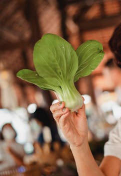 Close-up of fresh bok choy held in hand at a vibrant urban market, highlighting organic produce.