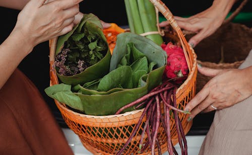 Crop anonymous girlfriends demonstrating wicker basket with fresh green herbs and dragon fruit on street