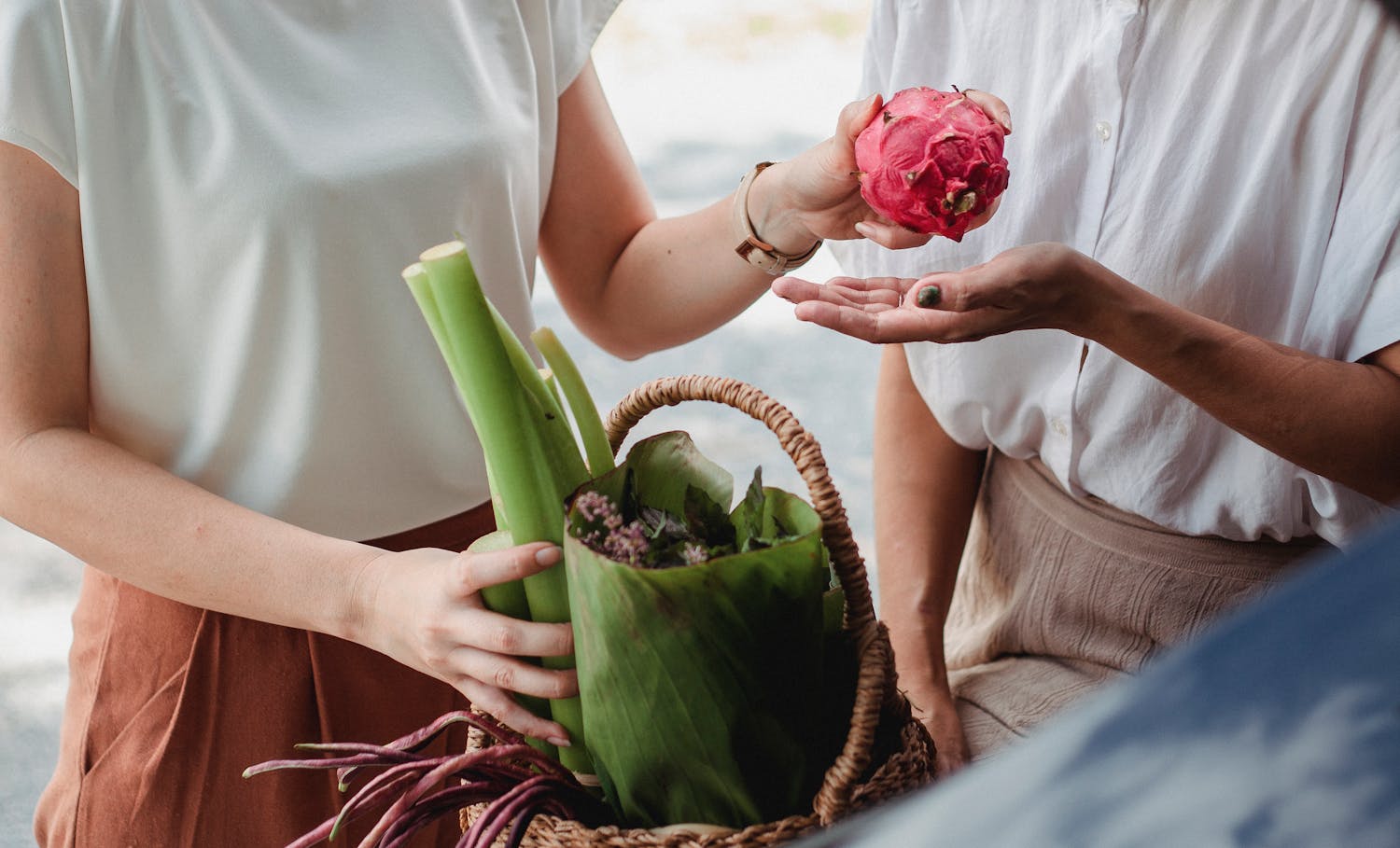 Crop unrecognizable female with basket full of green vegetables and herbs passing ripe pitaya to partner