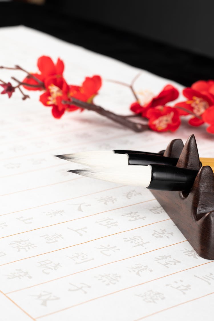 Calligraphy Brushes On Holder Near Bright Flower