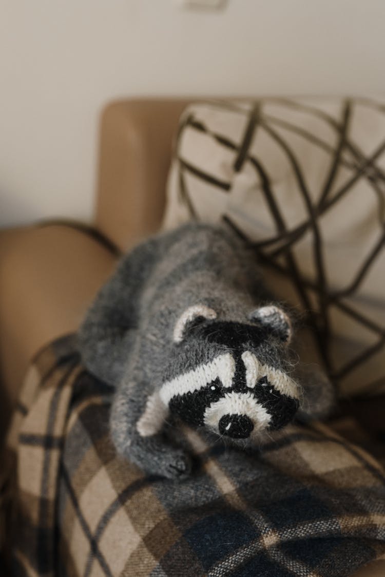 Photo Of A Raccoon Stuffed Toy