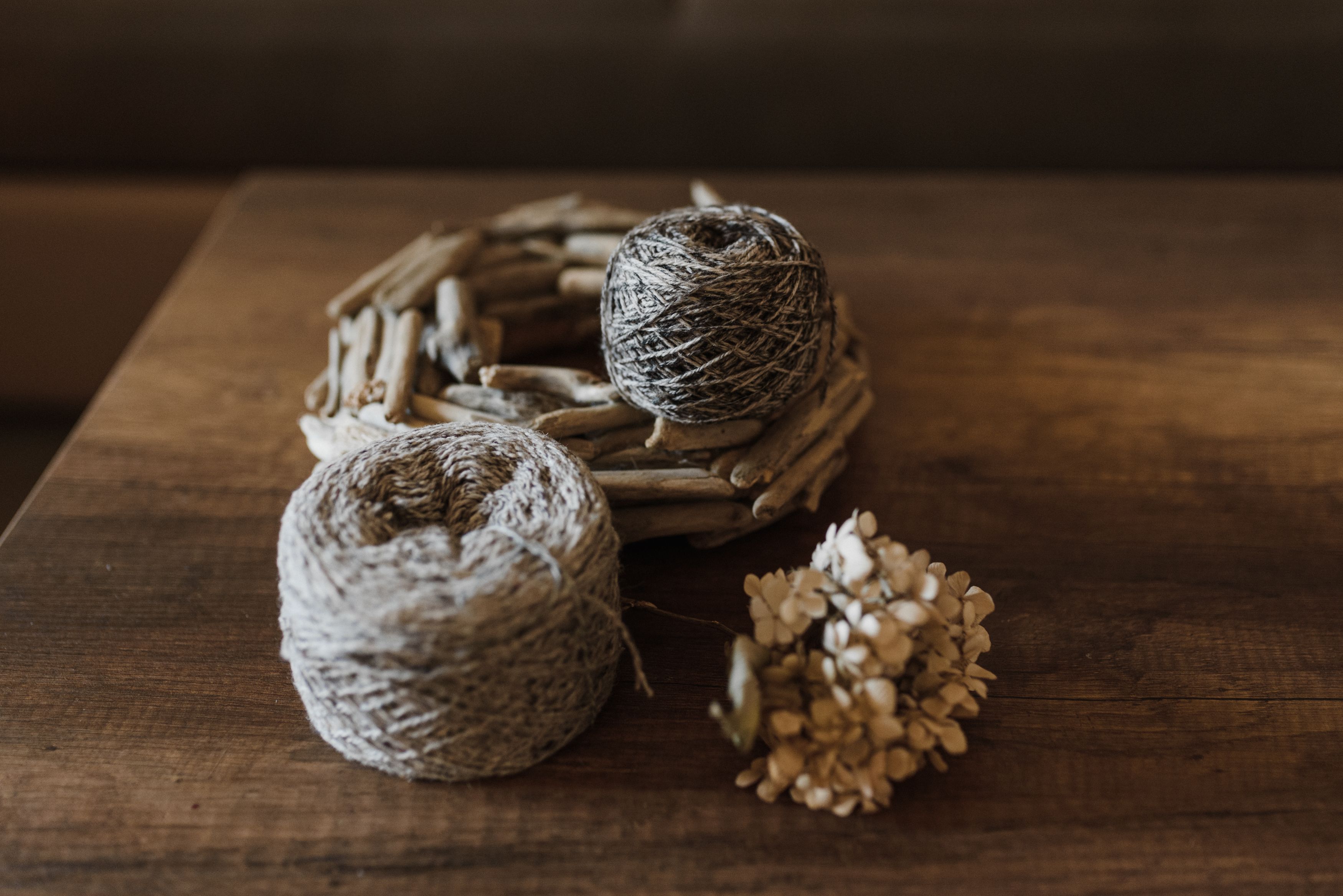 Schale aus Holz im Test
