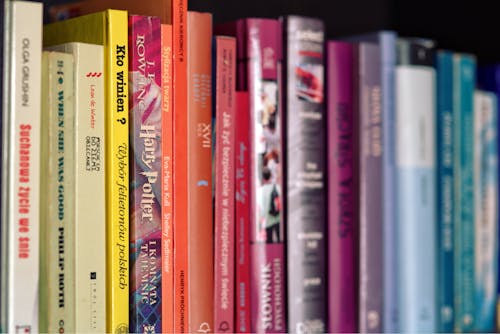 Free Colorful books on shelf Stock Photo