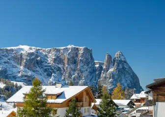 Photo Lars Böttcher / Pexels