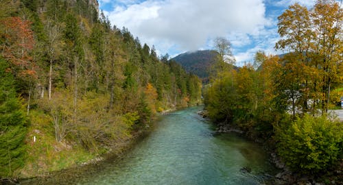 Scenery with River and Forest on Hillside