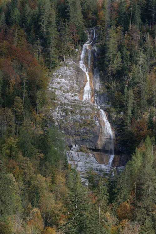 Landscape With Waterfall and Forest in Fall