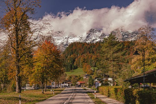 Gratis stockfoto met berg, bomen, buiten