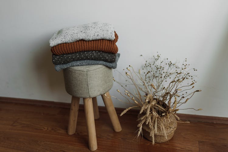 Clothes On Chair Near Plants