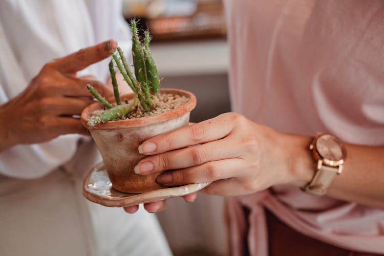 Crop Women With Potted Cactus