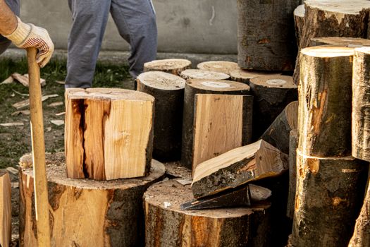 Stacked Up Wood logs