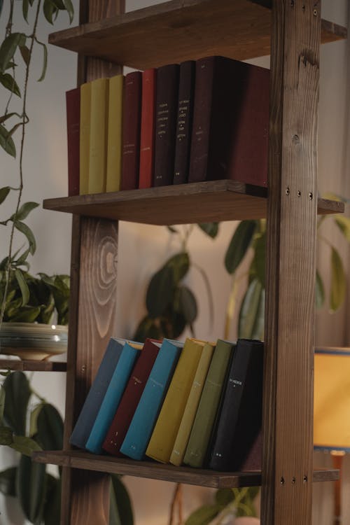 Books on Brown Wooden Shelf