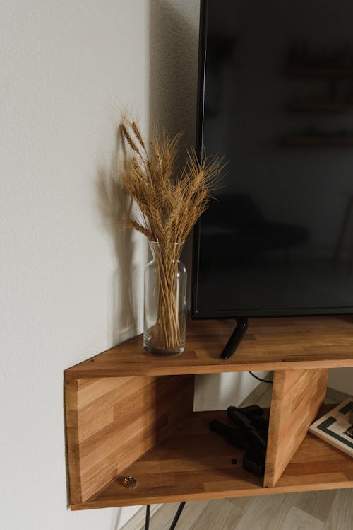Fotobanka s bezplatnými fotkami na tému sušené rastliny, televízia, TV