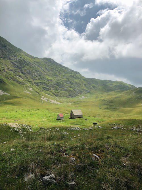 Green Grass Field on Mountain