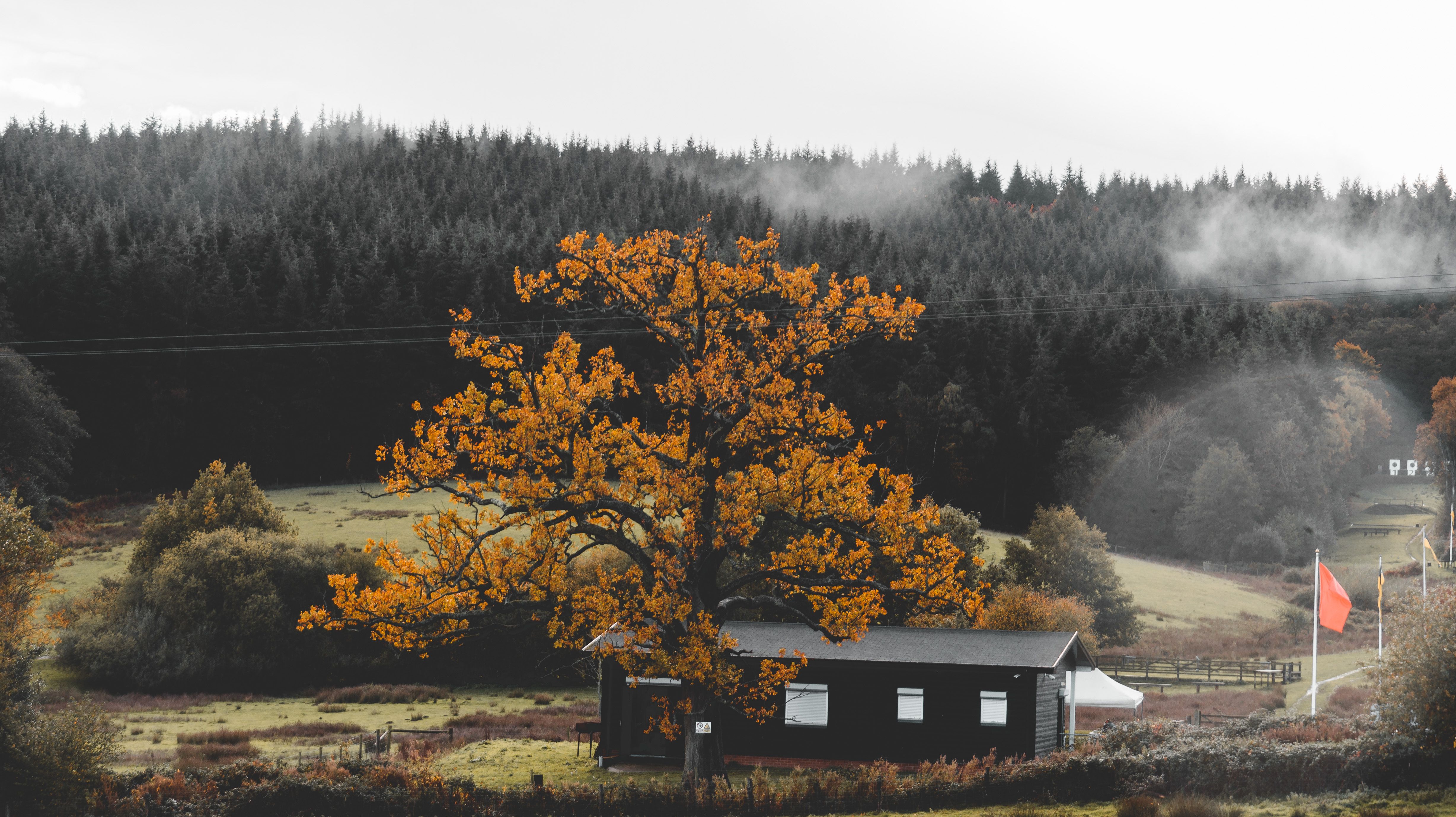 alberi-rigogliosi-che-crescono-sulle-colline-vicino-al-fiume-sotto-il