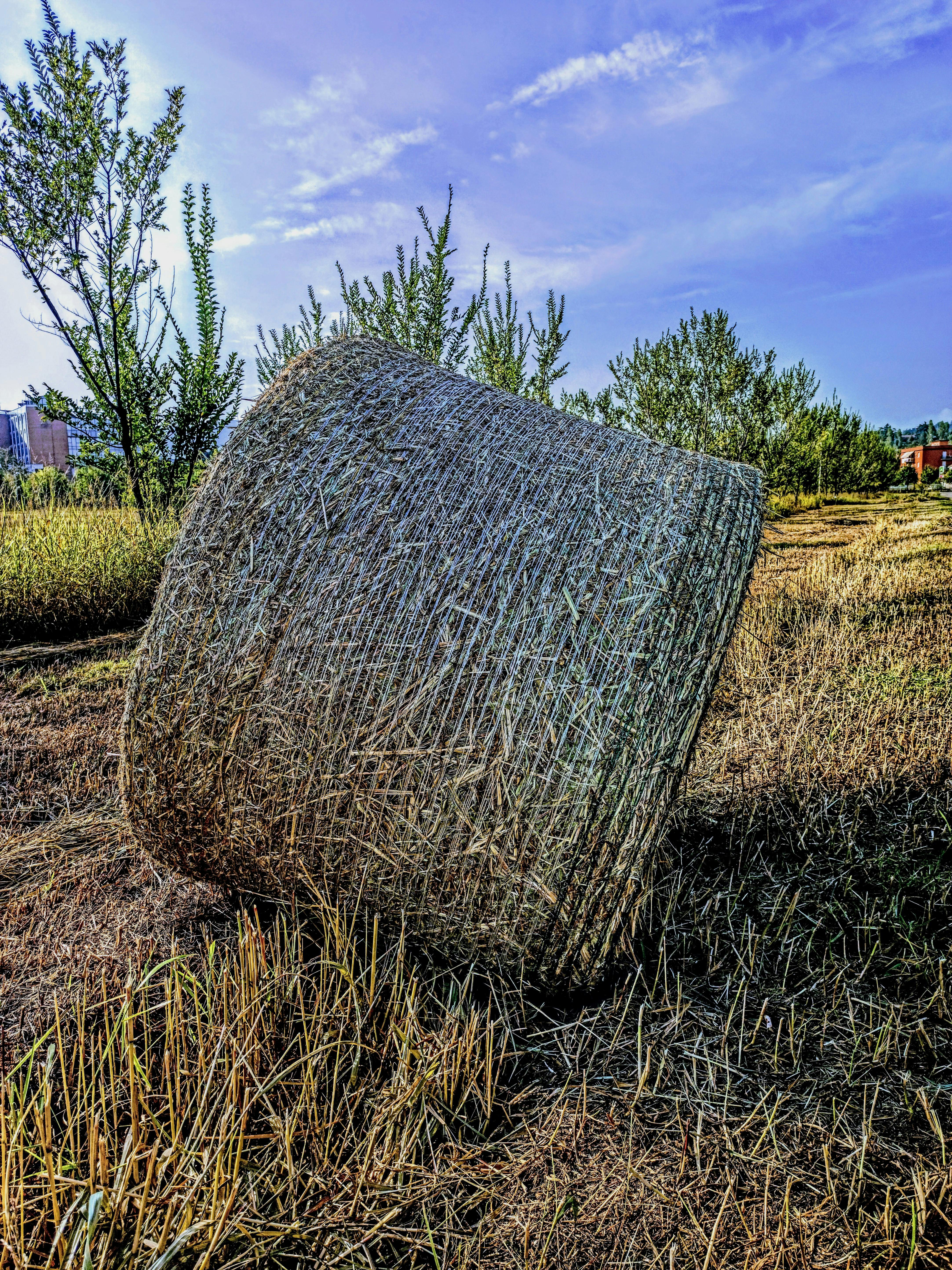 Esempio di lavoro manuale