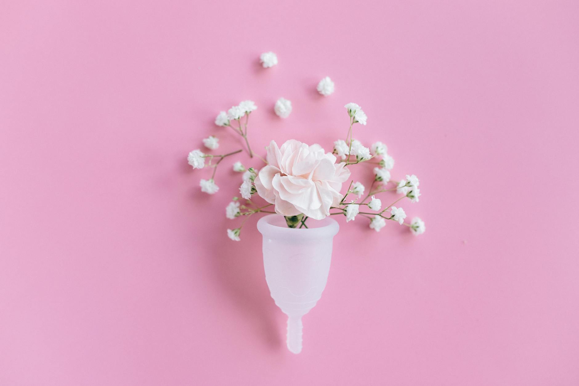 A menstrual cup surrounded by flowers, a visual metaphor for the blossoming potential of online content creation.