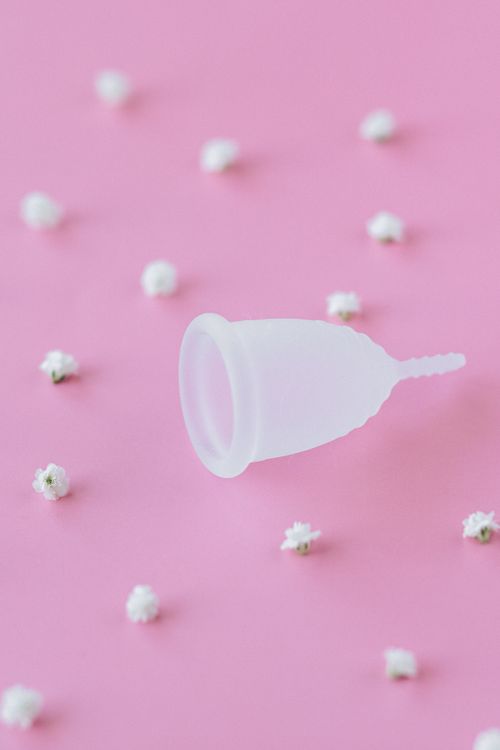 Free White menstrual cup on a pink background with small white flowers scattered around. Stock Photo