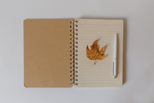 Daun Kering Coklat Di Notebook Spiral Putih