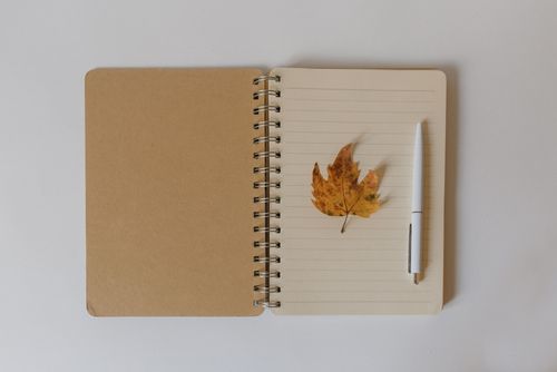 Free A simple flat lay composition featuring an open notebook with a dried maple leaf and pen on a neutral background. Stock Photo