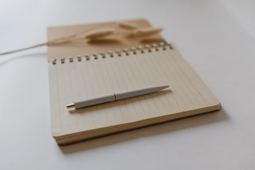 Free Open lined notebook with a pen and bunny tail grass on a plain surface. Stock Photo