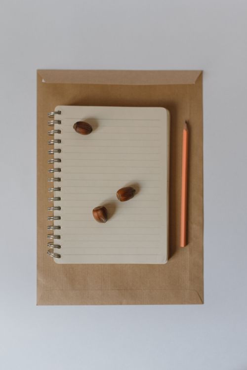 Free A simple flatlay of a notebook, hazelnuts, and a pencil on a brown envelope. Stock Photo