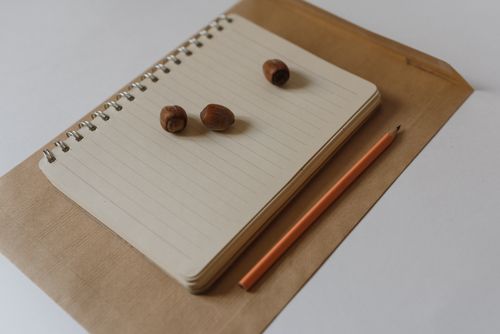 Free A top view of a lined notebook with a pencil and three nuts on a paper background. Stock Photo