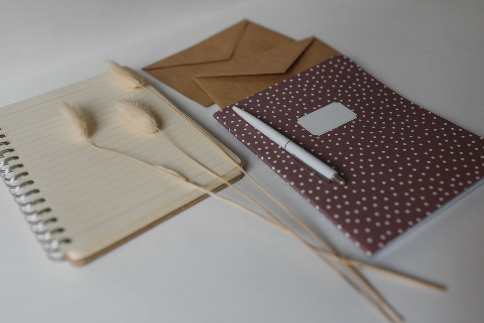A flat lay of notebooks, a pen, envelopes, and dried grass on a white background.