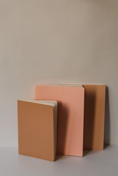 一张以中性背景为底、展现三本柔和色彩笔记本的极简主义审美照片