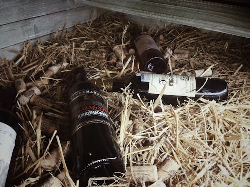 Free stock photo of bottle of wine, georgia, red wine