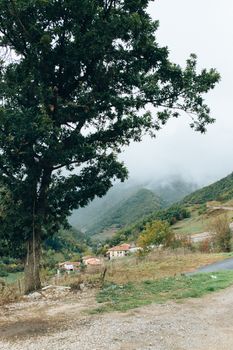 宁静的乡村风景中，山丘、树木和房屋笼罩在薄雾里