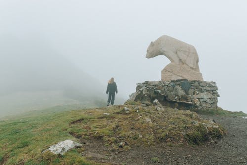 Man in Gray Jacket Standing on Green Grass Field Near White Horse Statue