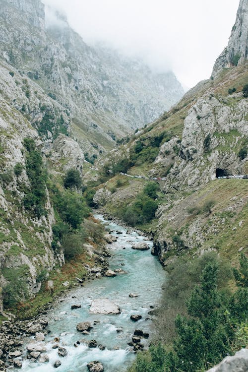 River Between Green and Brown Mountains