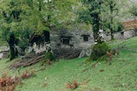 迷人的石房子周围，绿色的森林和长满苔藓的树木环绕着它