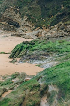 Explore the tranquil scene of a moss-covered rocky shoreline next to a sandy beach.