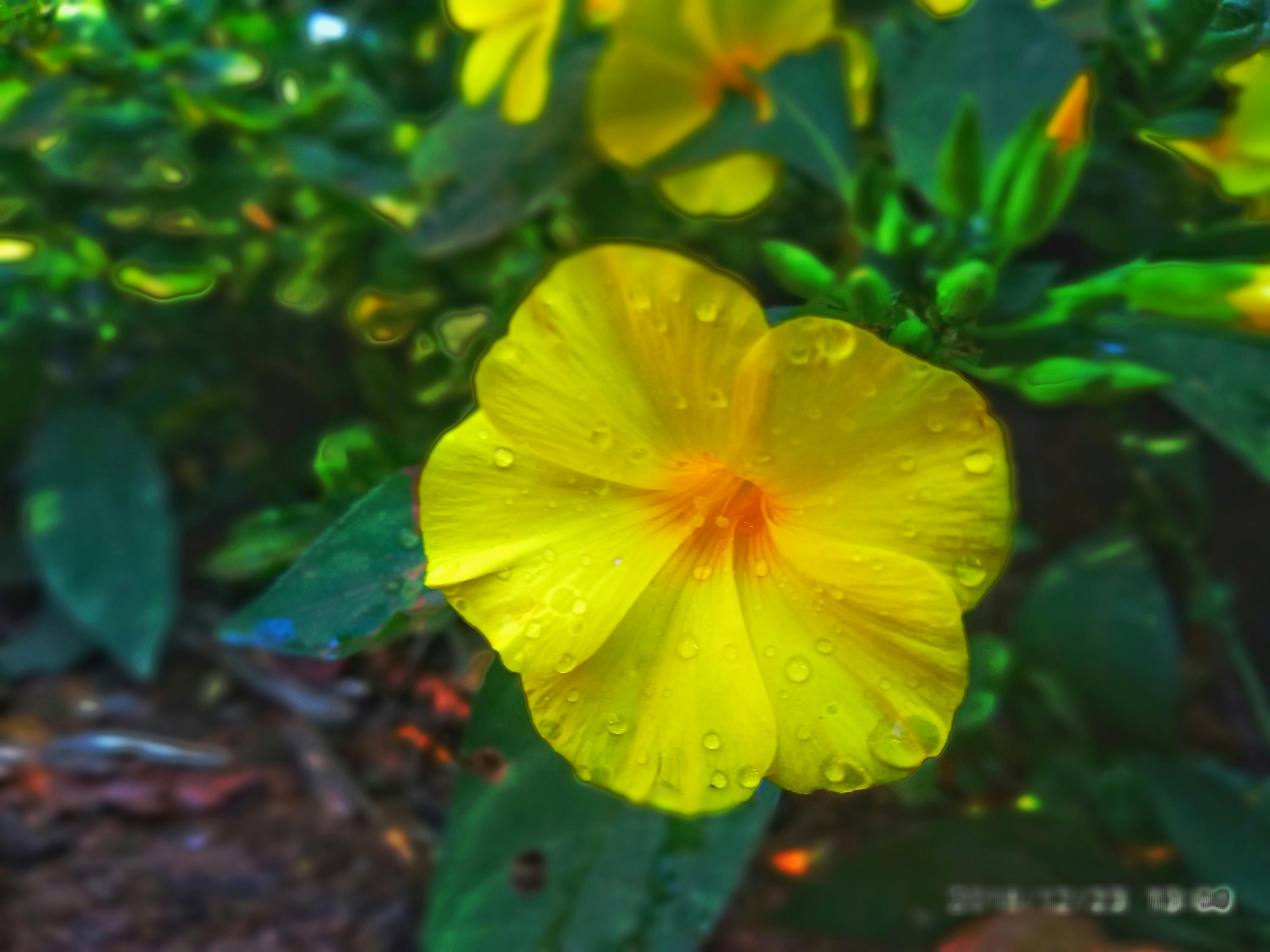 Project 3 - Landing Page Design